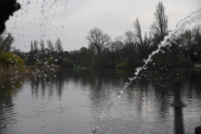 DSC_6908 (Large).JPG